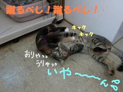 愛情が強すぎて・・・
