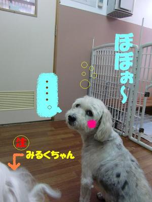 ミルクちゃん＆バーニーくん