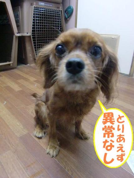 台風襲来　宜野湾店２