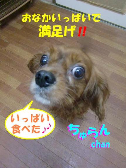 台風襲来　宜野湾店２