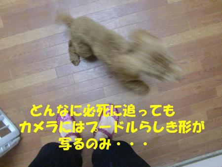 台風襲来　宜野湾店２