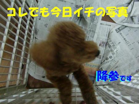 台風襲来　宜野湾店２