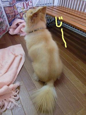 たいちくんの秘密