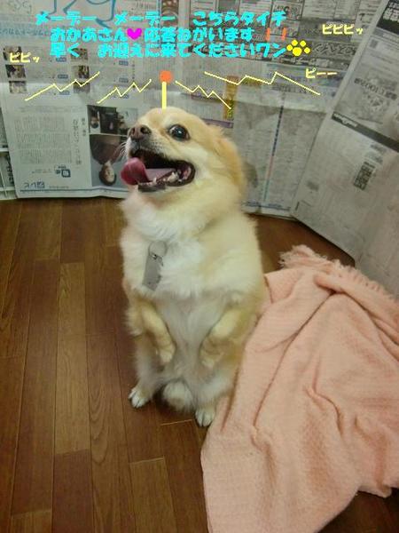 たいちくんの秘密