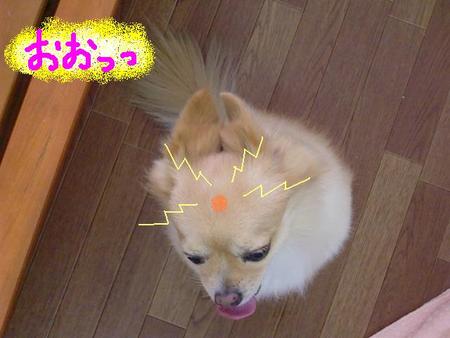 たいちくんの秘密