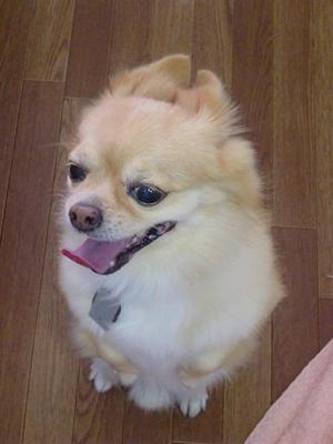 たいちくんの秘密