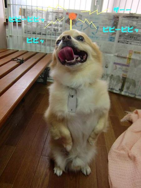 たいちくんの秘密