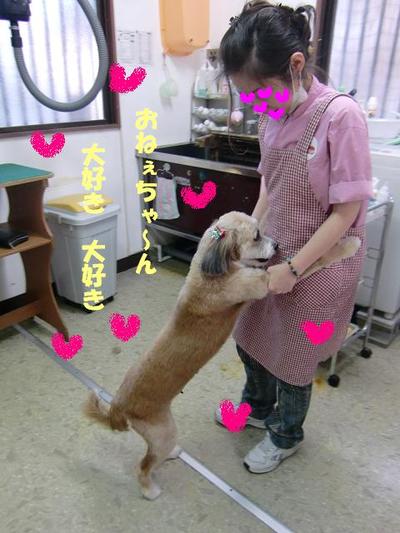 甘えん坊シロちゃん