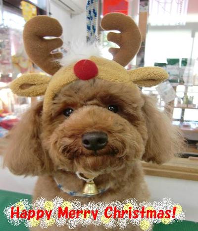 宜野湾店のクリスマス会