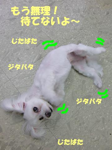 いつもと違う・・・