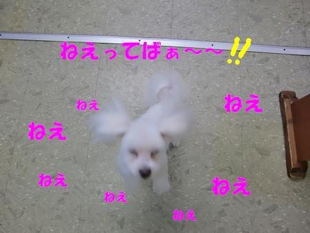 いつもと違う・・・