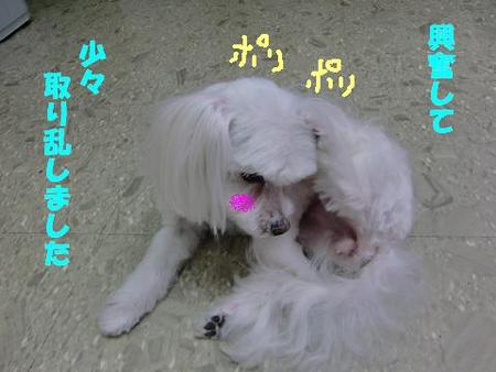 いつもと違う・・・