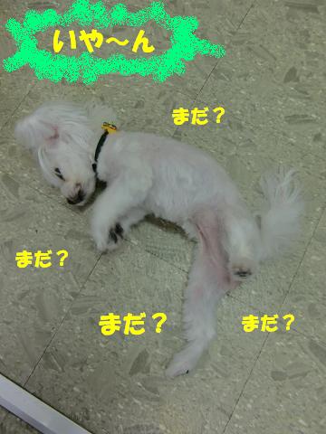 いつもと違う・・・