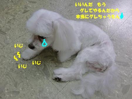 いつもと違う・・・