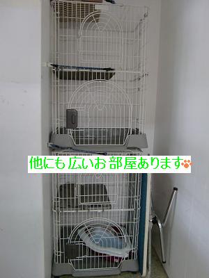 ペットホテルの御案内