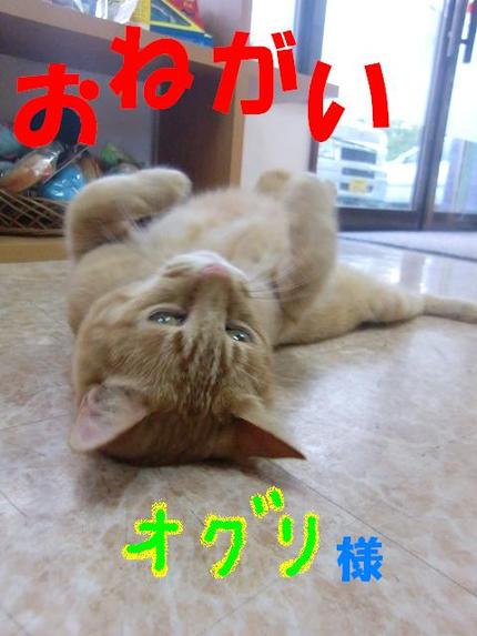 ごあいさつ