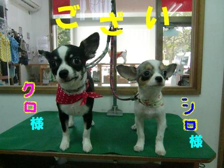 ごあいさつ