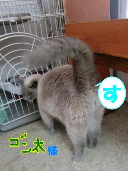 ごあいさつ