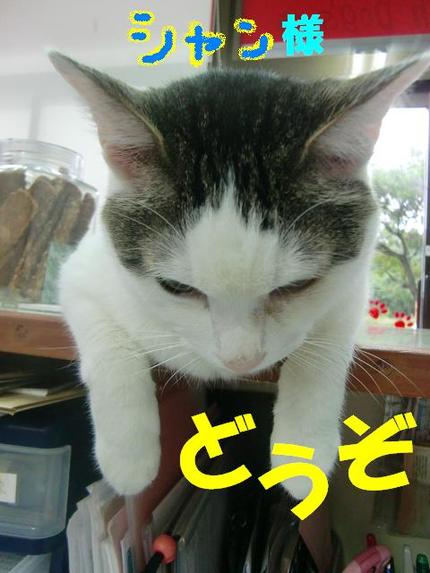 ごあいさつ