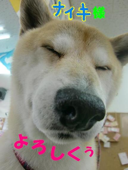 ごあいさつ
