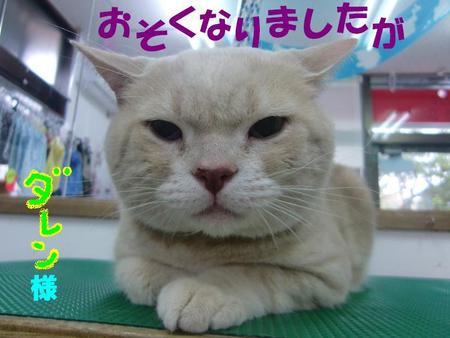 ごあいさつ