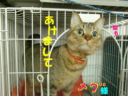 ごあいさつ