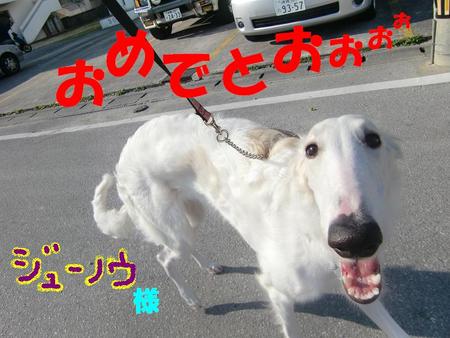 ごあいさつ