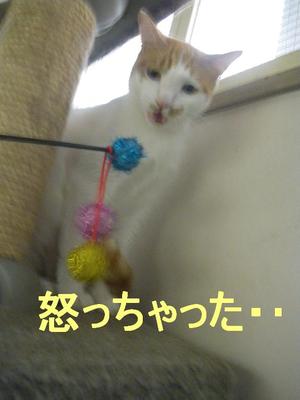 ラムちゃん☆