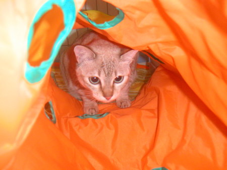 花子ちゃんホテル１日目
