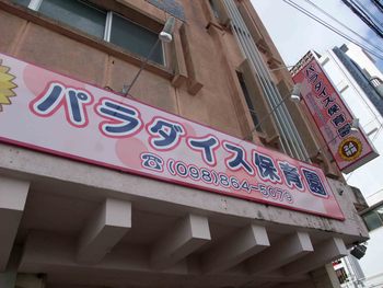 ユッカ・パキラ！