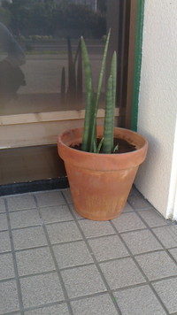 日曜日 2013/02/25 17:58:58