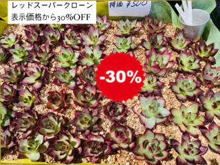 店頭表示価格からさらに３０%OFF！！！