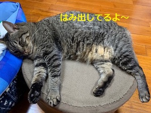 はみ出してるよ