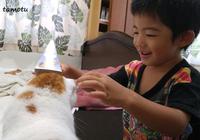 （猫の）頭かくして（君は）尻かくさず♪