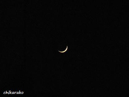 夕方の三日月♪