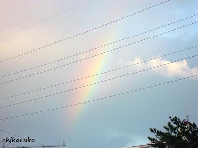 空を見上げると・・・♪