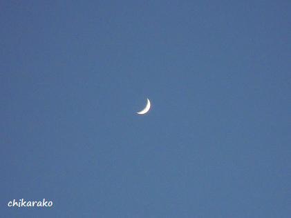 夕方の三日月♪