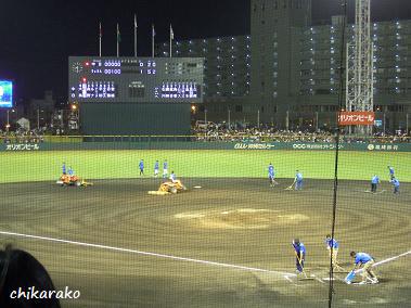 歓声と溜息！プロ野球を生観戦！！