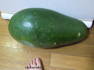 大きな冬瓜！さて何作ろう・・・