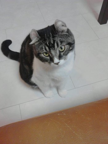仲良しこよし