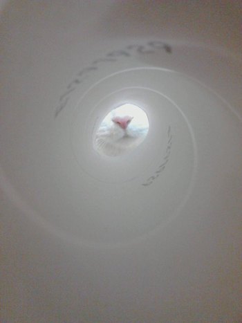 トンネルの中