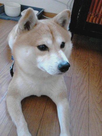 久々の再会