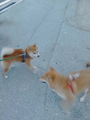 久々の再会
