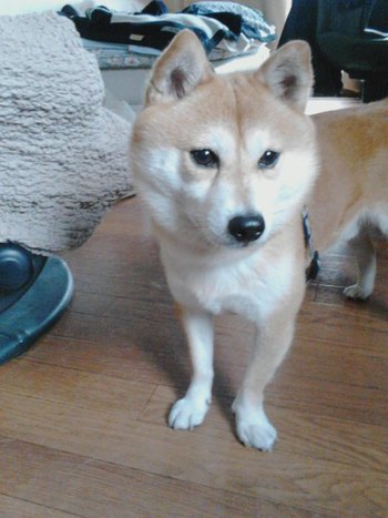 久々の再会