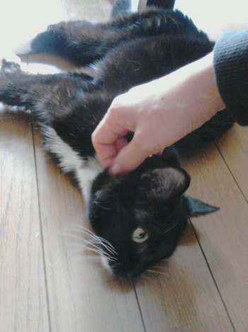 愛ちゃんに続き