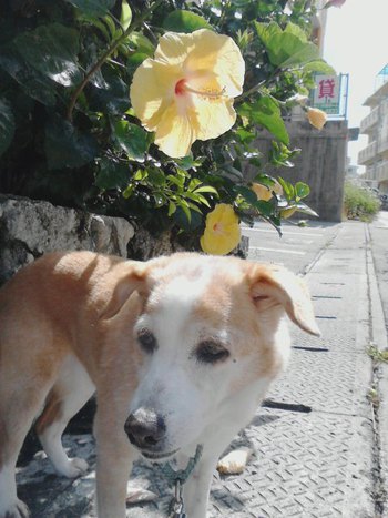 お散歩中に発見