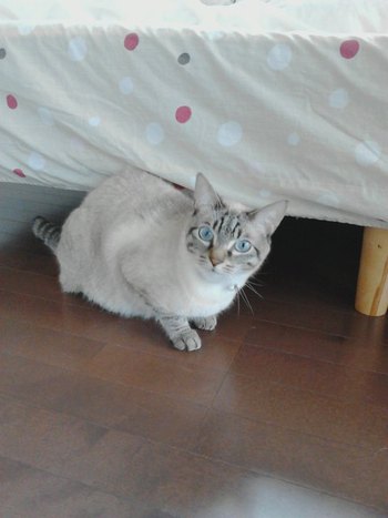 新入りの海ちゃん