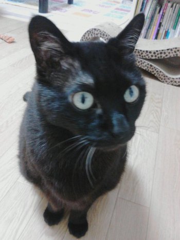 こんなに近くに