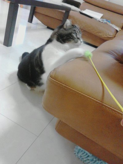 実はライバル？？