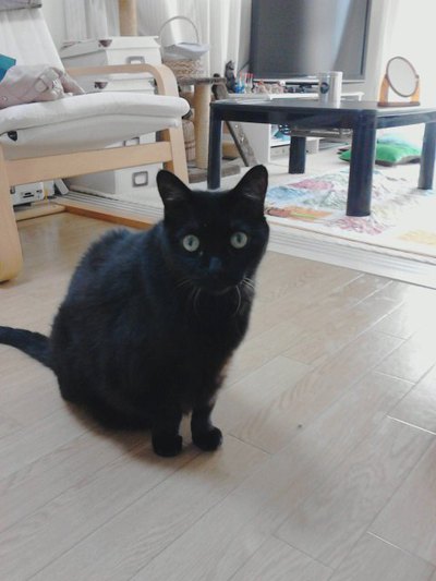 文句タラタラのアークちゃん